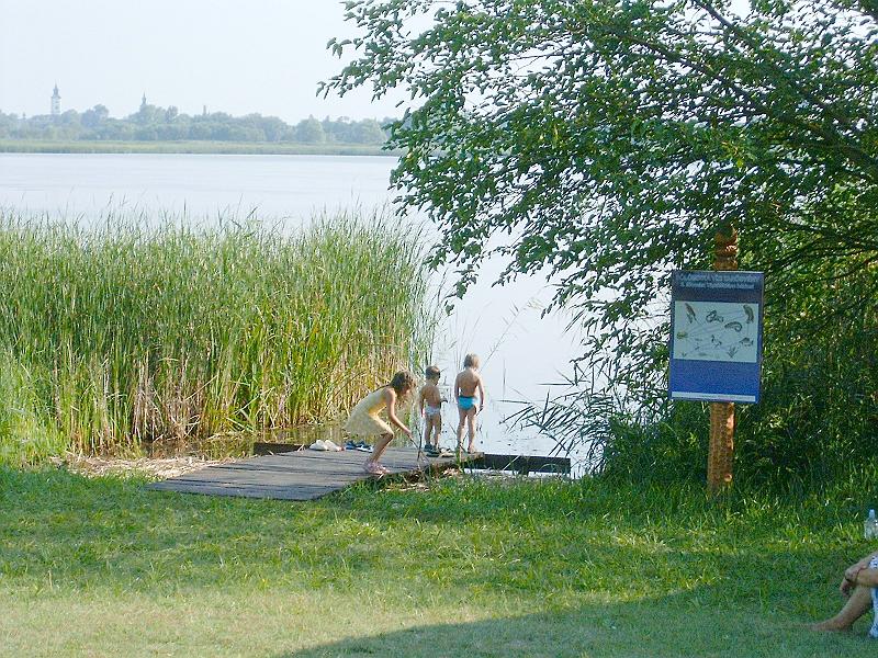 szate (222).jpg